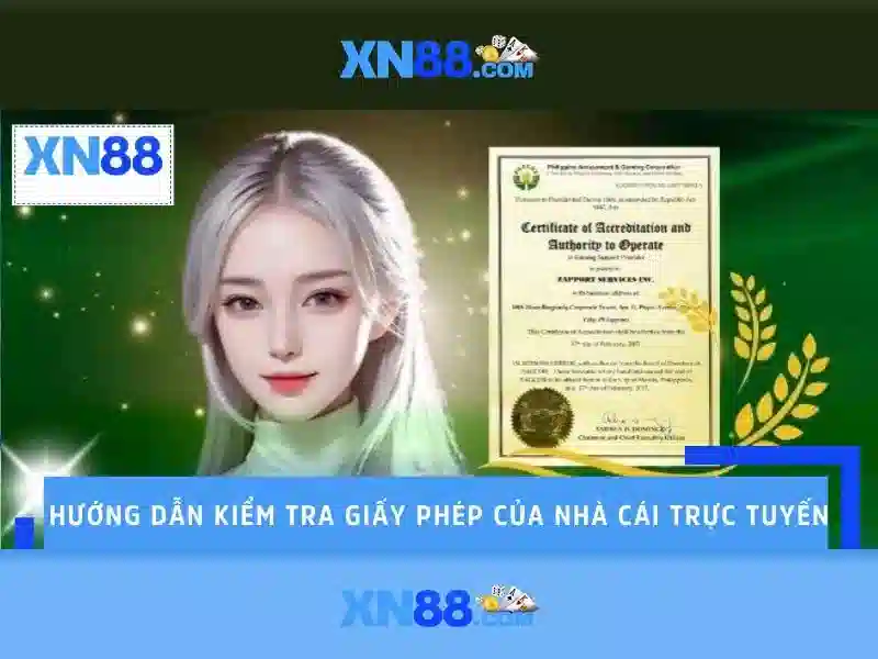 xn88 - Đánh giá toàn diện và Hướng dẫn tham gia an toàn