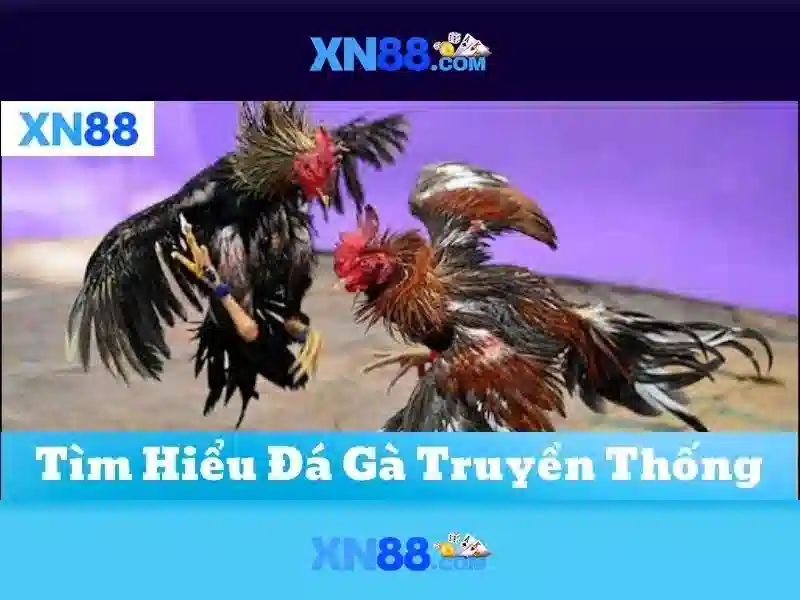 xn88 - Giới thiệu và đánh giá tổng quan