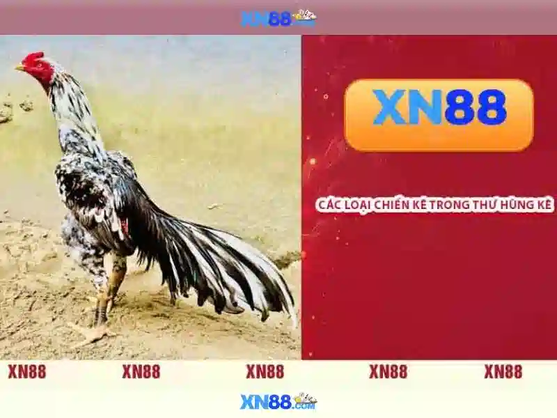 Nền tảng và chức năng của xn88