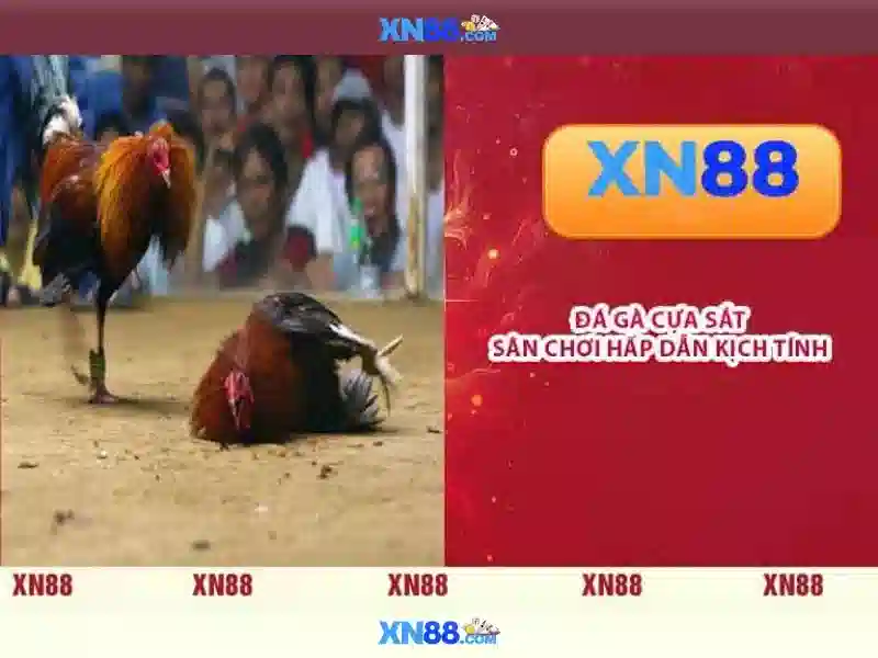 Tính năng chính của xn88<h>An toàn và trách nhiệm khi tham gia</h><p><span style=