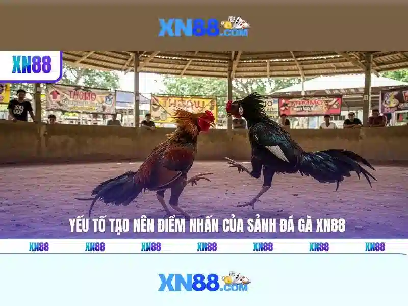 xn88 là gì và những điểm nổi bật