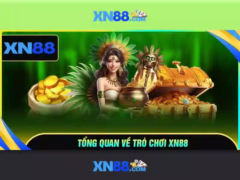 Lịch sử và tầm nhìn