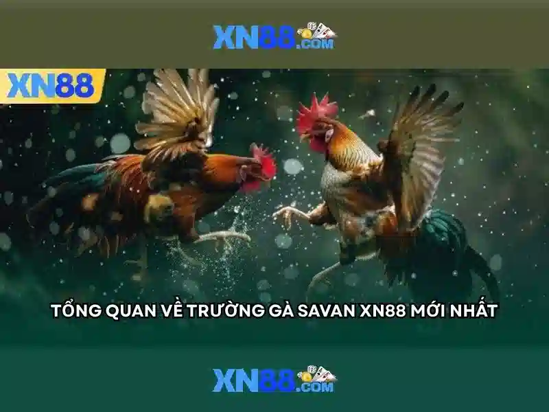 Nguồn gốc và sứ mệnh của xn88 sa.com