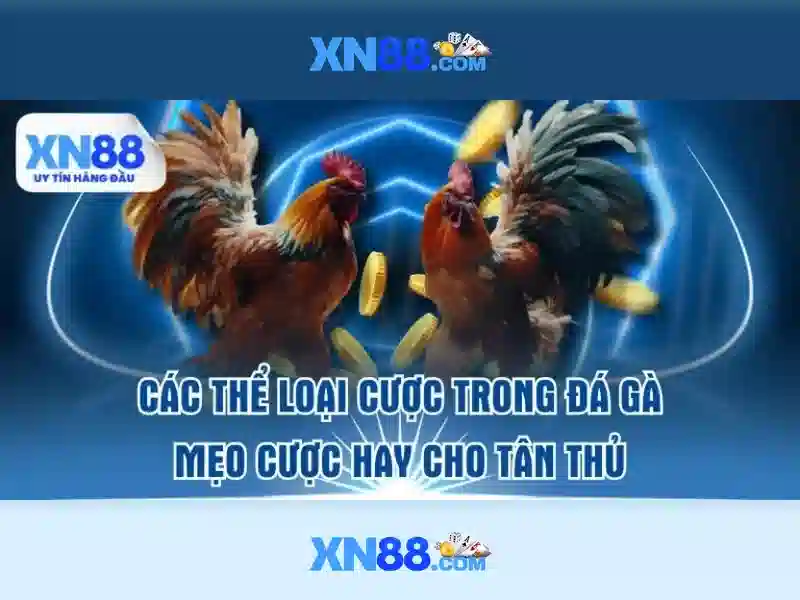 xn88: một nền tảng cá cược trực tuyến