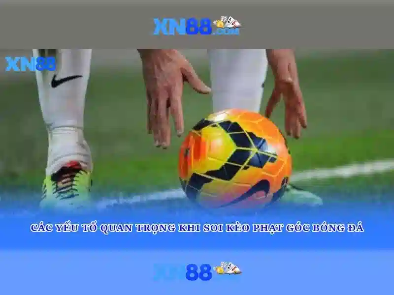 xn88: Giới thiệu và tiềm năng
