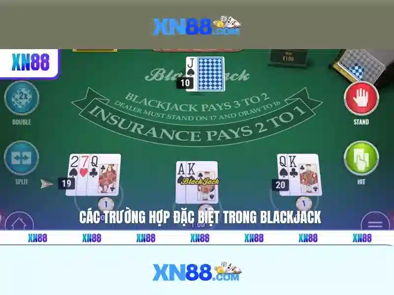 Hỗ trợ khách hàng và trải nghiệm người dùng