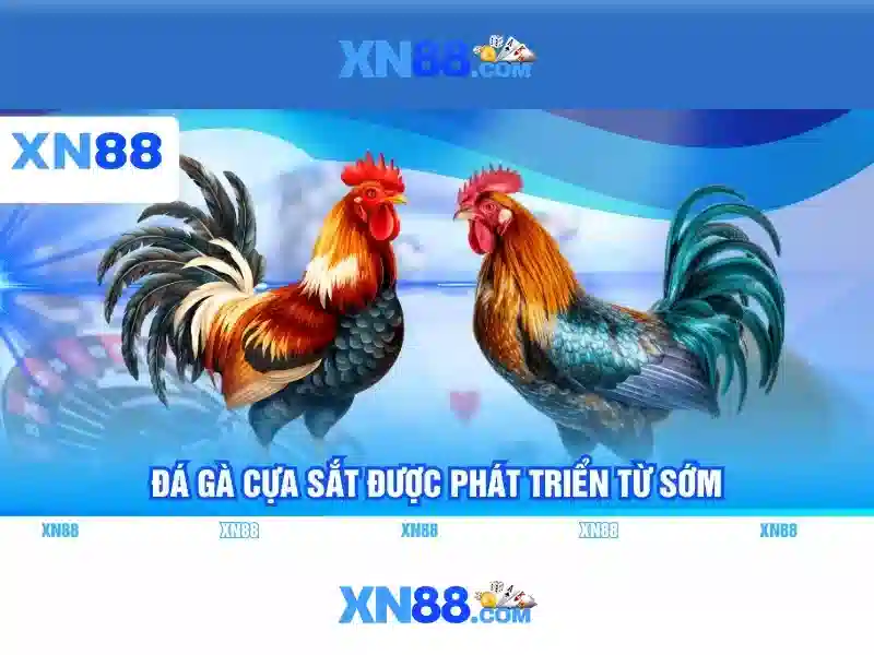 xn88 jpn – Tổng quan chủ đề và giá trị cốt lõi