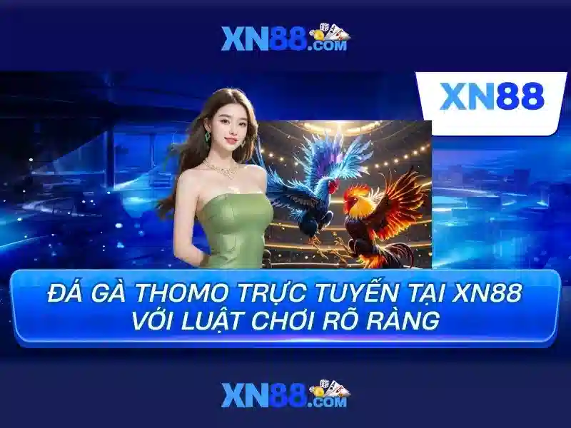 Xn88: Giới thiệu nền tảng cá cược trực tuyến