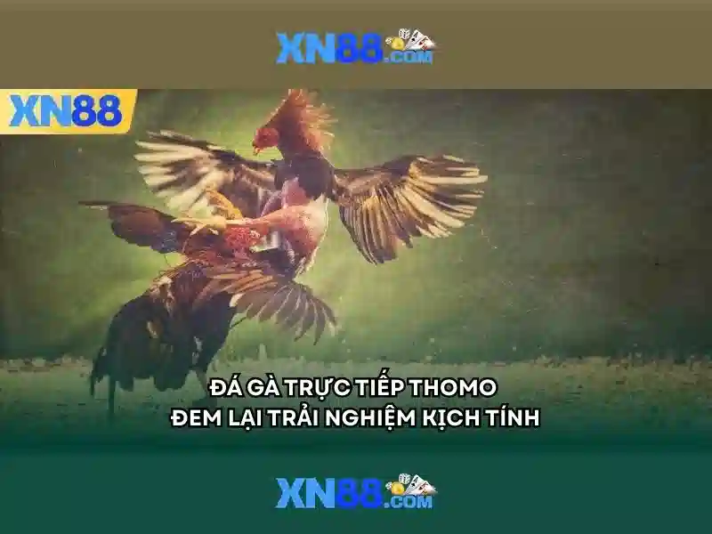 XN88 - Đánh giá và hướng dẫn sử dụng nền tảng cá cược trực tuyến
