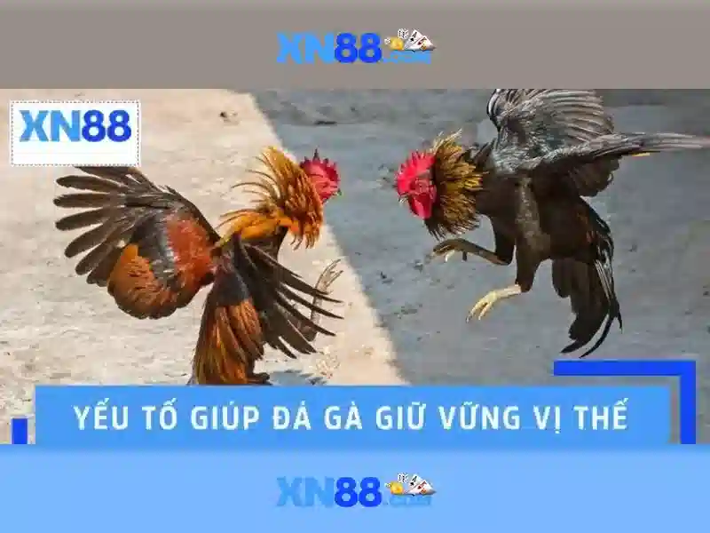 Những sản phẩm và dịch vụ cốt lõi của tai ap xn88