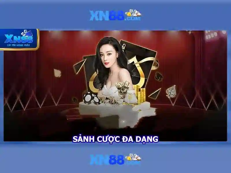 Nền tảng và trải nghiệm người dùng