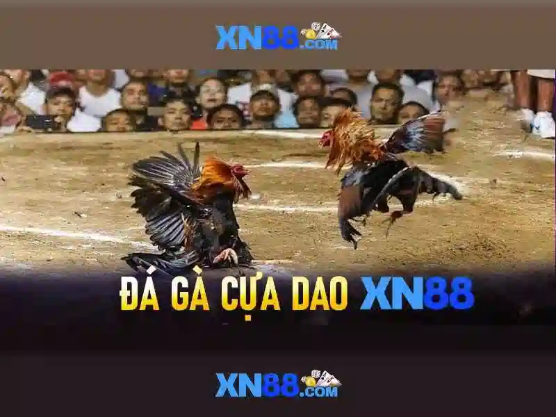 xn88 là gì?