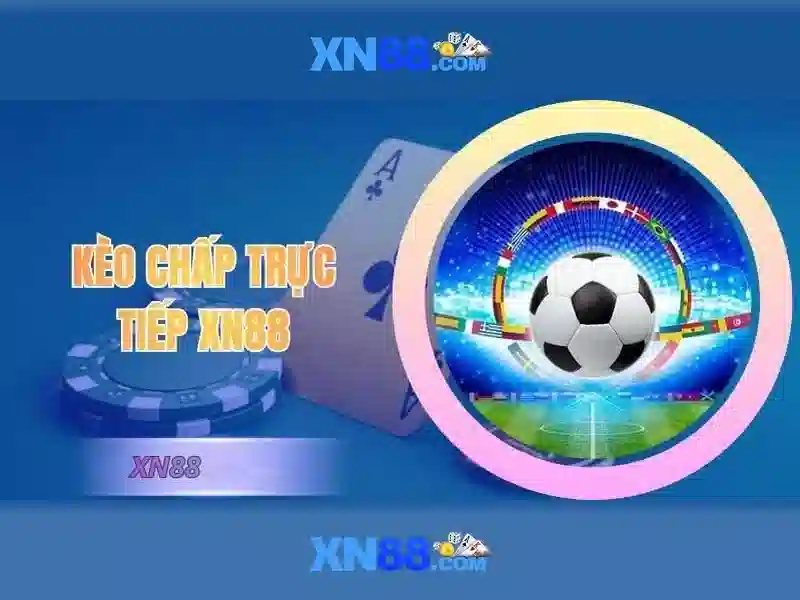 Hướng dẫn sử dụng và chăm sóc\n<p><span style=