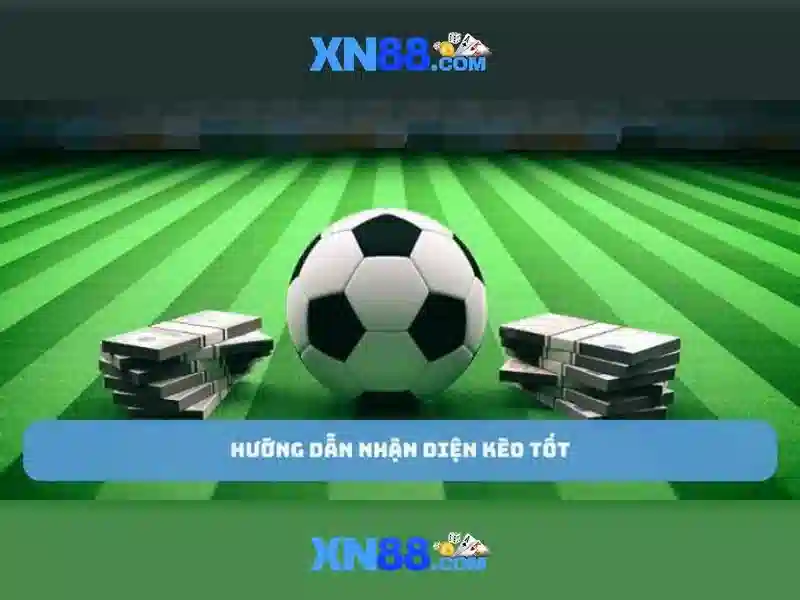 Các tính năng chính