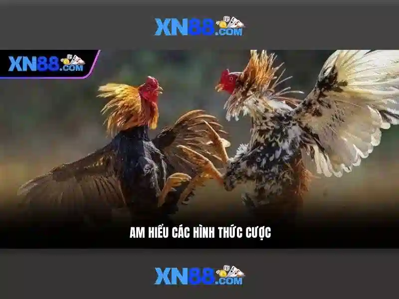 XN88: Nền tảng cá cược trực tuyến an toàn và tiện ích