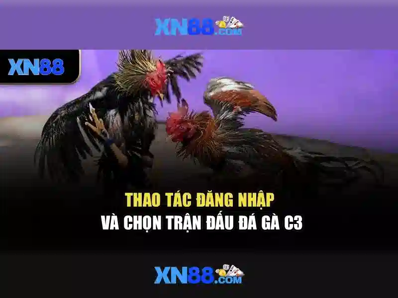 xn88 - Nền tảng cá cược trực tuyến an toàn và tiện ích