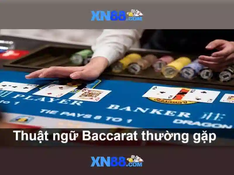 Trải nghiệm người dùng