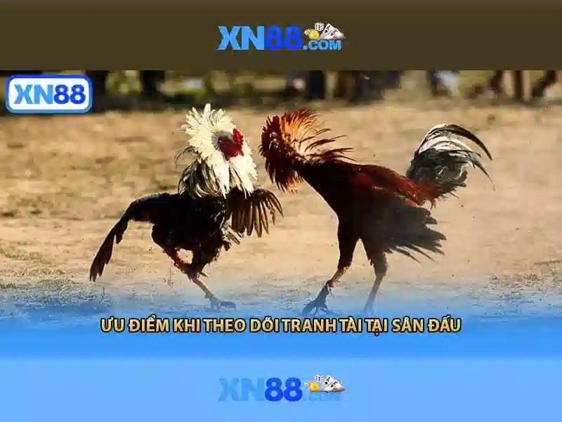 Nguồn gốc và sứ mệnh của xn88 mobi