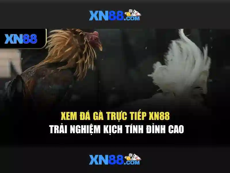 Dịch vụ và sản phẩm\n\n<h3><b>An toàn và pháp lý</b></h3>\n<p><span style=