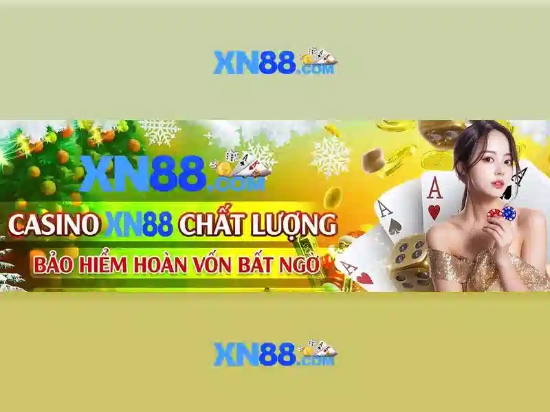 Cộng đồng và người dùng