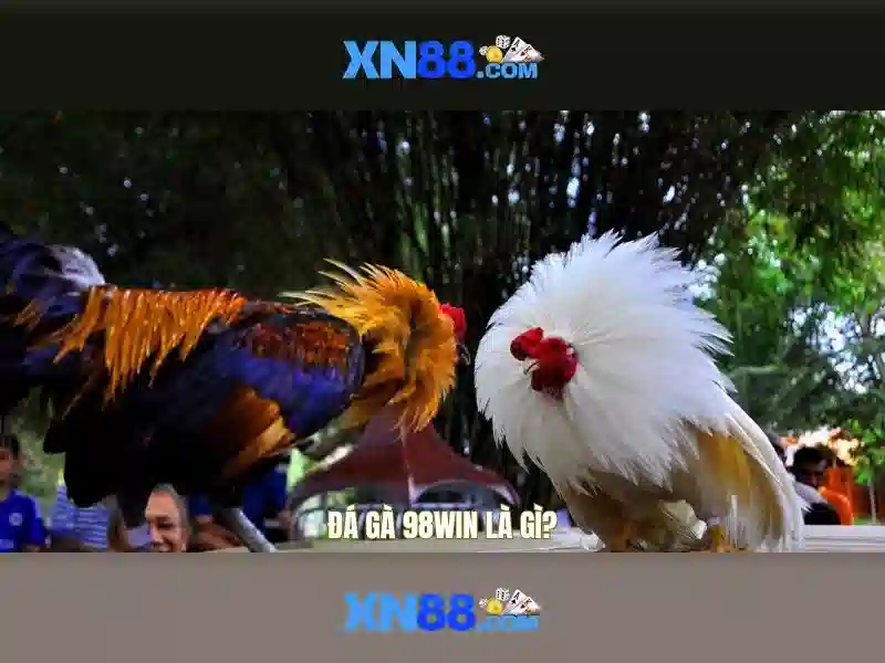 Tính năng nổi bật