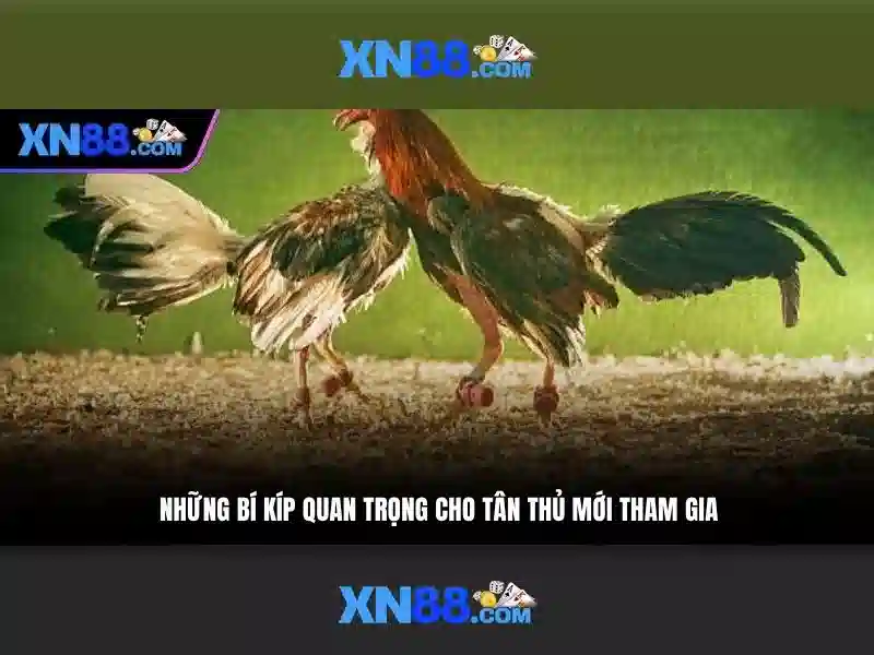 Hướng dẫn đăng ký và bảo mật