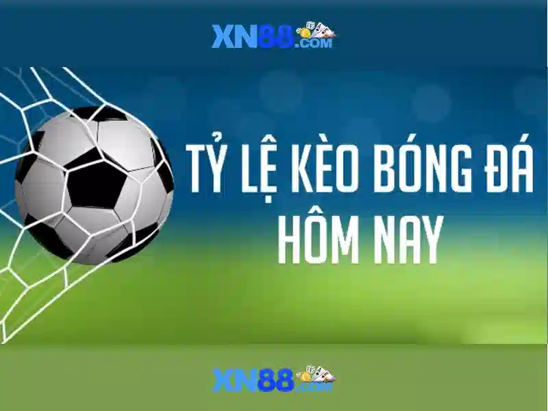 Các tính năng nổi bật của xn88