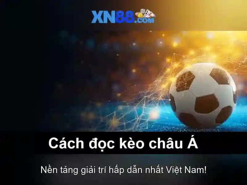 Các tính năng nổi bật