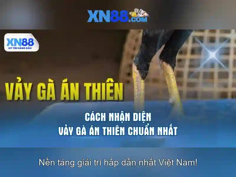 Hướng dẫn đăng ký và trải nghiệm