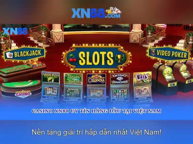 Đặc điểm nổi bật của XN88