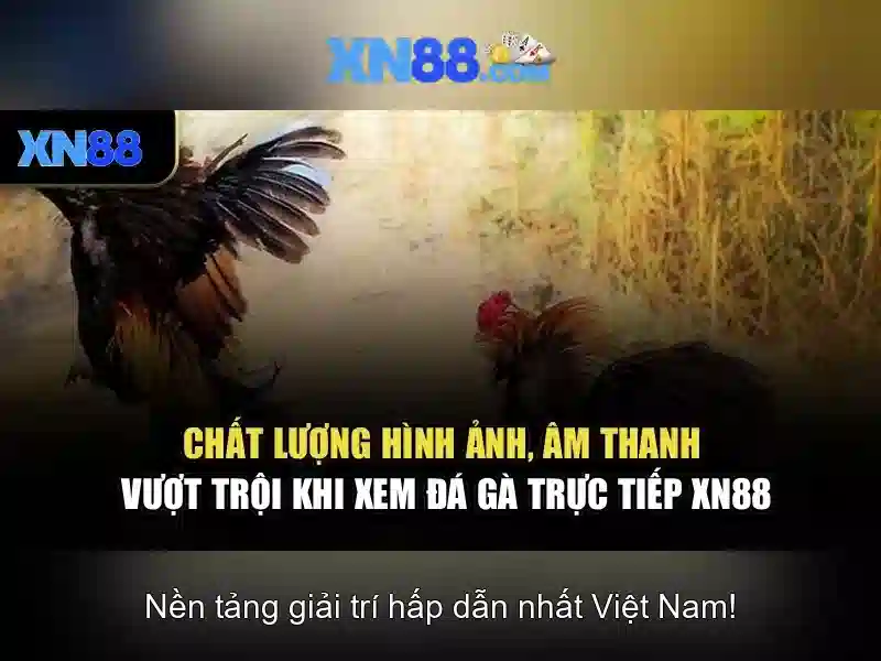 Tính năng an toàn và bảo mật\n<h4>Trò chơi và sự đa dạng</h4>\n<p><span style=
