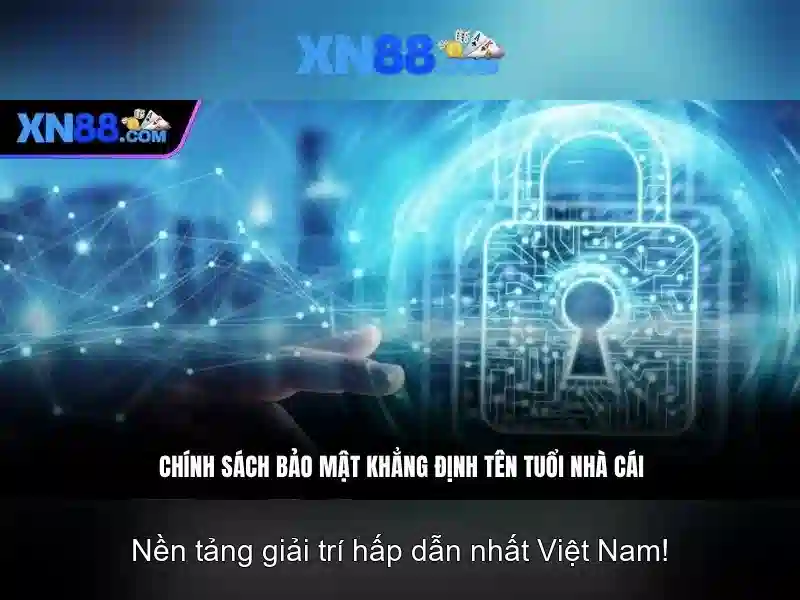 Nền tảng và sự phát triển