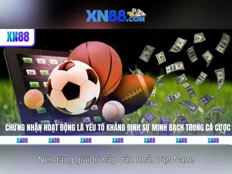 xn88 khuyến mãi – Tổng quan chủ đề và giá trị cốt lõi