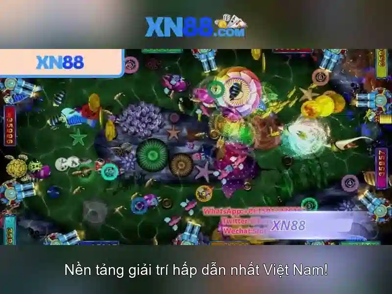 Giới thiệu về xn88