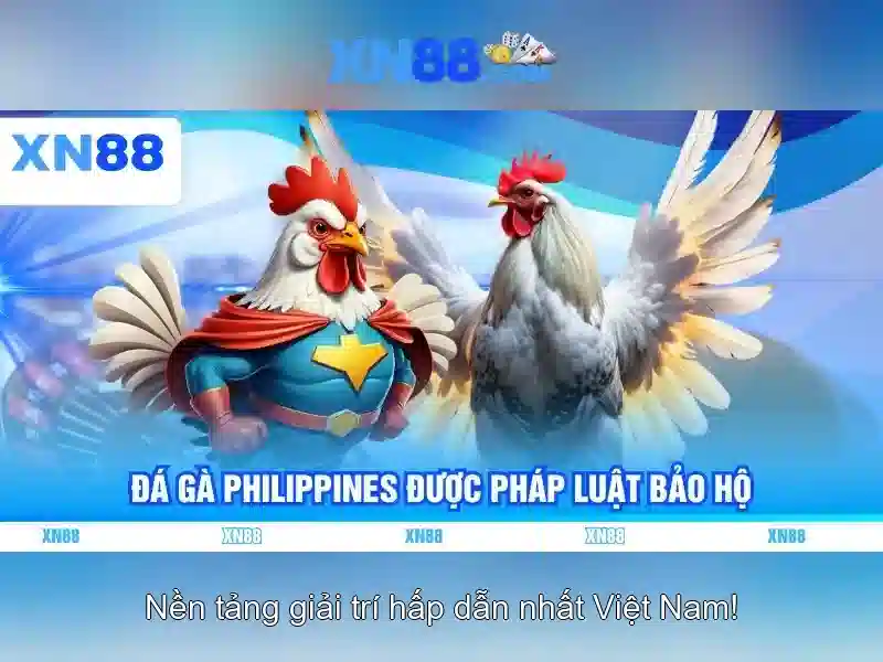 XN88: Khám phá nền tảng cá cược trực tuyến