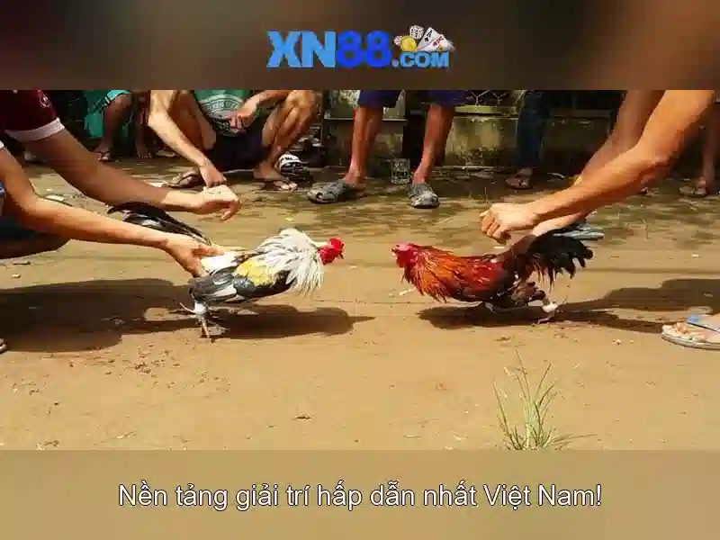 Giao diện người dùng\n<h>Bảo mật và hỗ trợ</h>\n<p><span style=