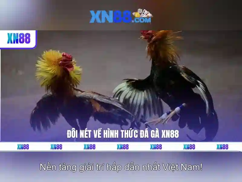 xn88 là gì và những điều cần biết