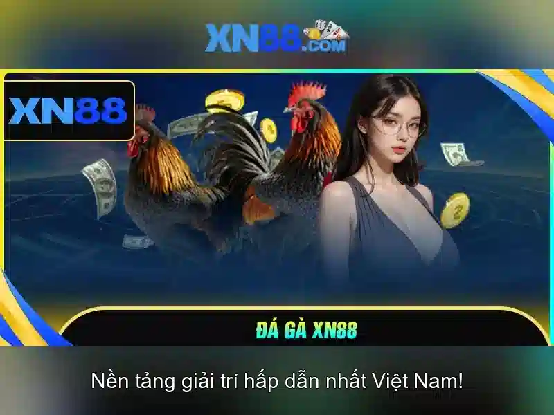 xn88 là gì và những đặc điểm nổi bật của nền tảng trò chơi trực tuyến