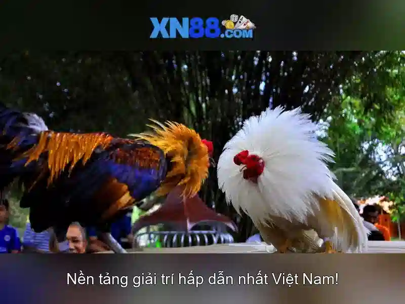 Các tính năng nổi bật của xn88\n<h3><b>Phương pháp thanh toán và bảo mật</b></h3>\n<p><span style=