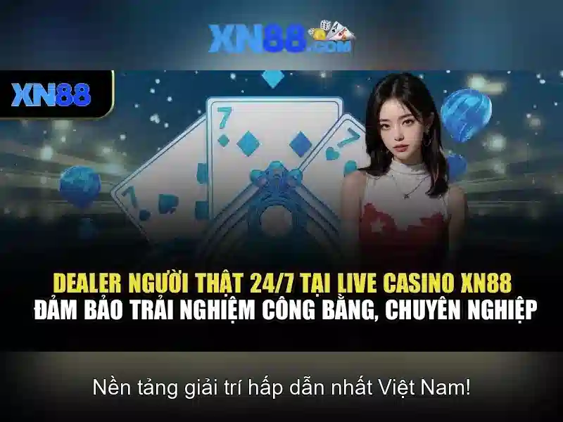 Pháp lý và trách nhiệm khi tham gia xn88