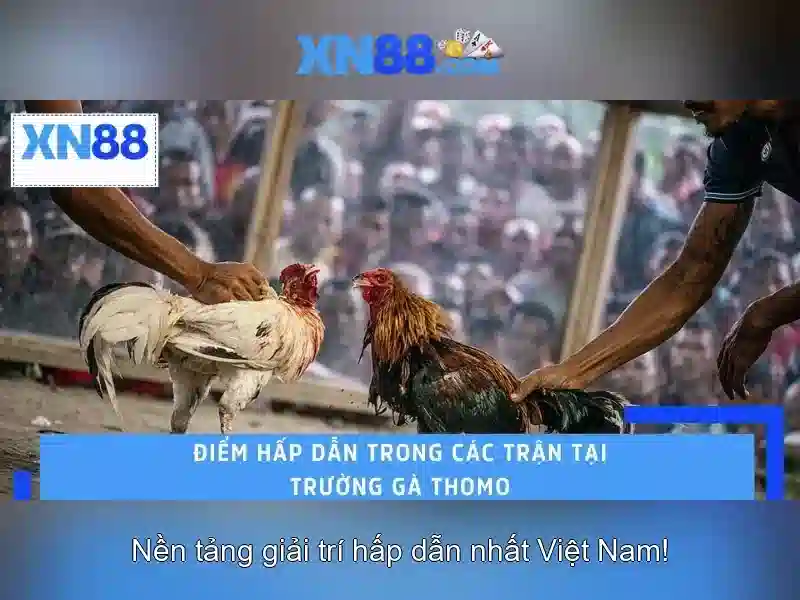 xn88 là gì và hướng dẫn khám phá nền tảng giải trí trực tuyến