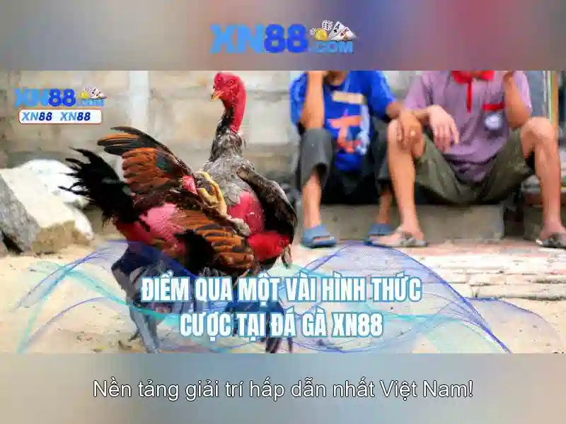 Cách sử dụng và tính năng\n<h2><b>An toàn và pháp lý</b></h2>\n<p><span style=