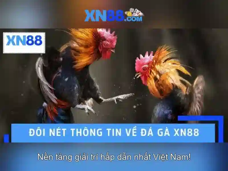 Giới thiệu về xn88