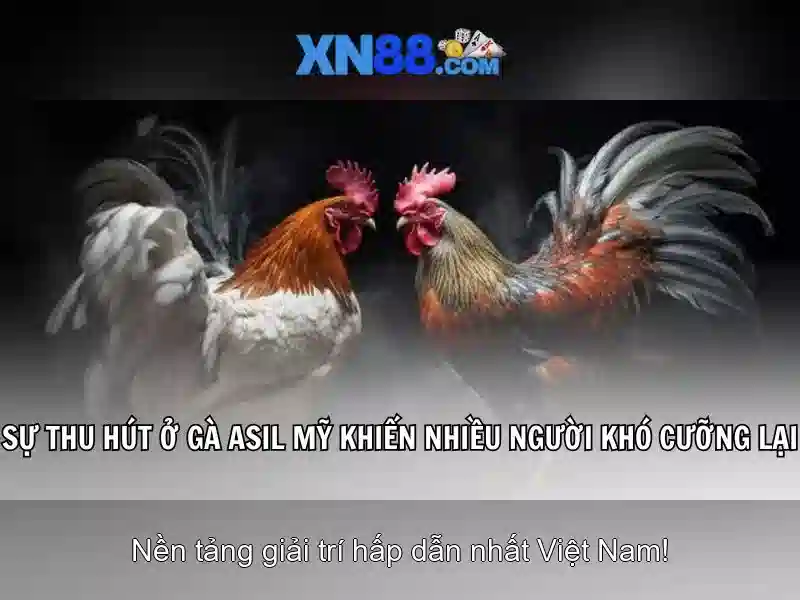 xn88 là gì và các tính năng nổi bật của nền tảng giải trí trực tuyến