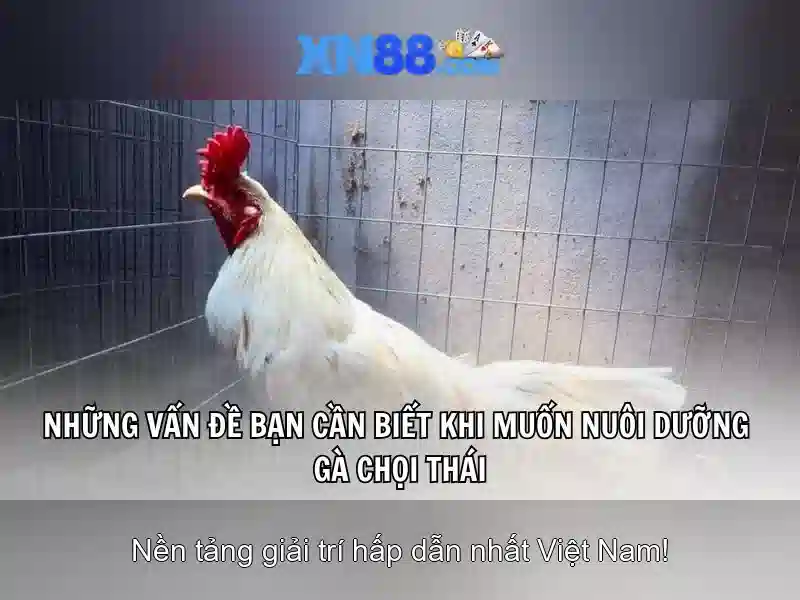 Giới thiệu về xn88