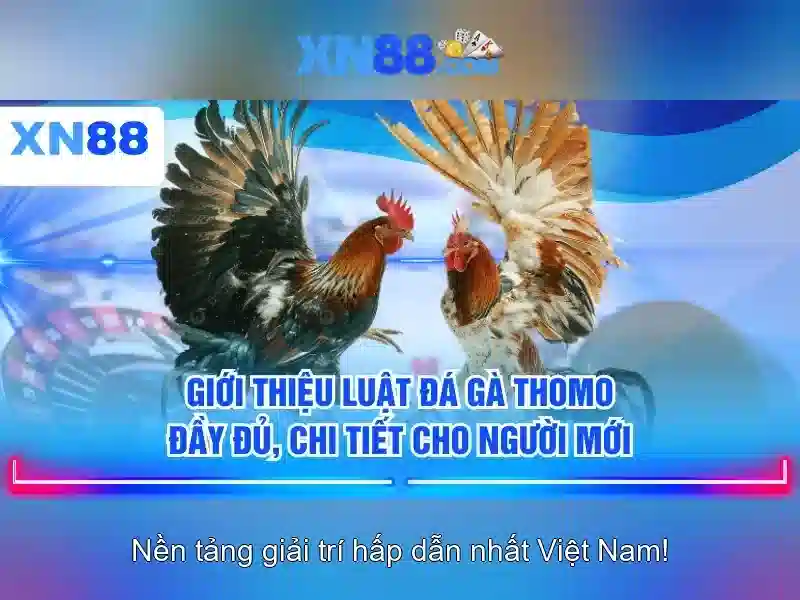 An toàn thanh toán và bảo mật