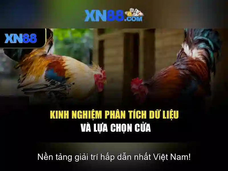 Xn88: Nền tảng trò chơi trực tuyến và giải trí