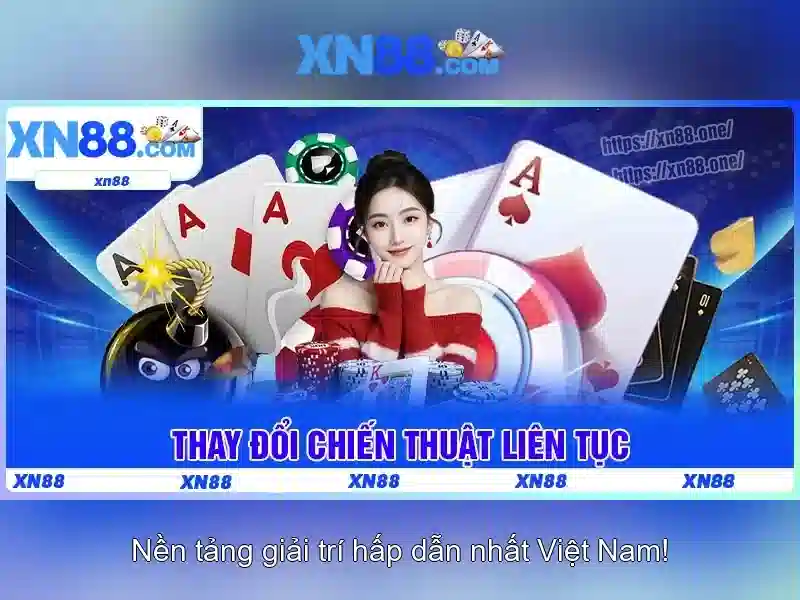 Hỗ trợ khách hàng và dịch vụ