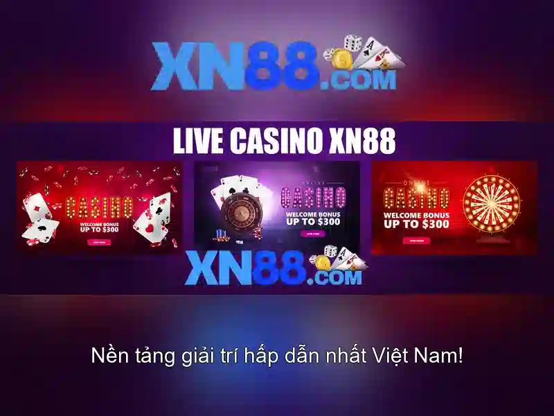 Lĩnh vực hoạt động và sản phẩm