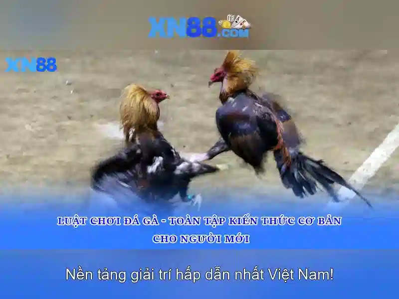 Các sản phẩm và dịch vụ<p><span style=